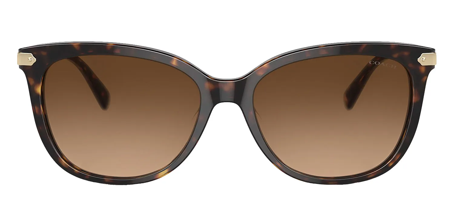 Coach HC 8378U 512074 Cat-Eye Plastic Tortoise Sunglasses with Brown Gradient Lens sold by Gaffos