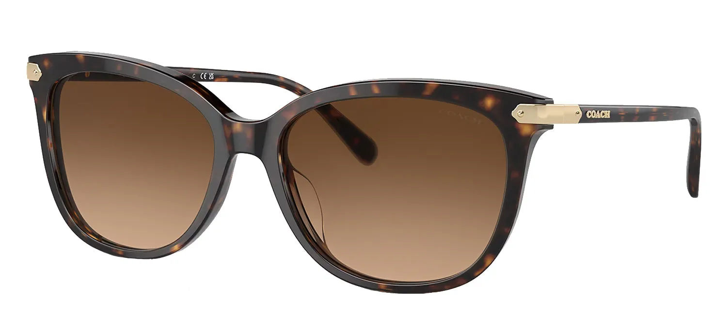 Coach HC 8378U 512074 Cat-Eye Plastic Tortoise Sunglasses with Brown Gradient Lens sold by Gaffos product image thumbnail 2