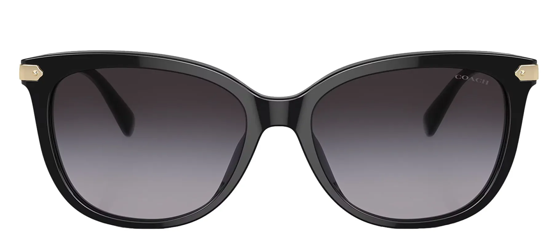 Coach HC 8378U 50028G Cat-Eye Plastic Black Sunglasses with Grey Gradient Lens sold by Gaffos
