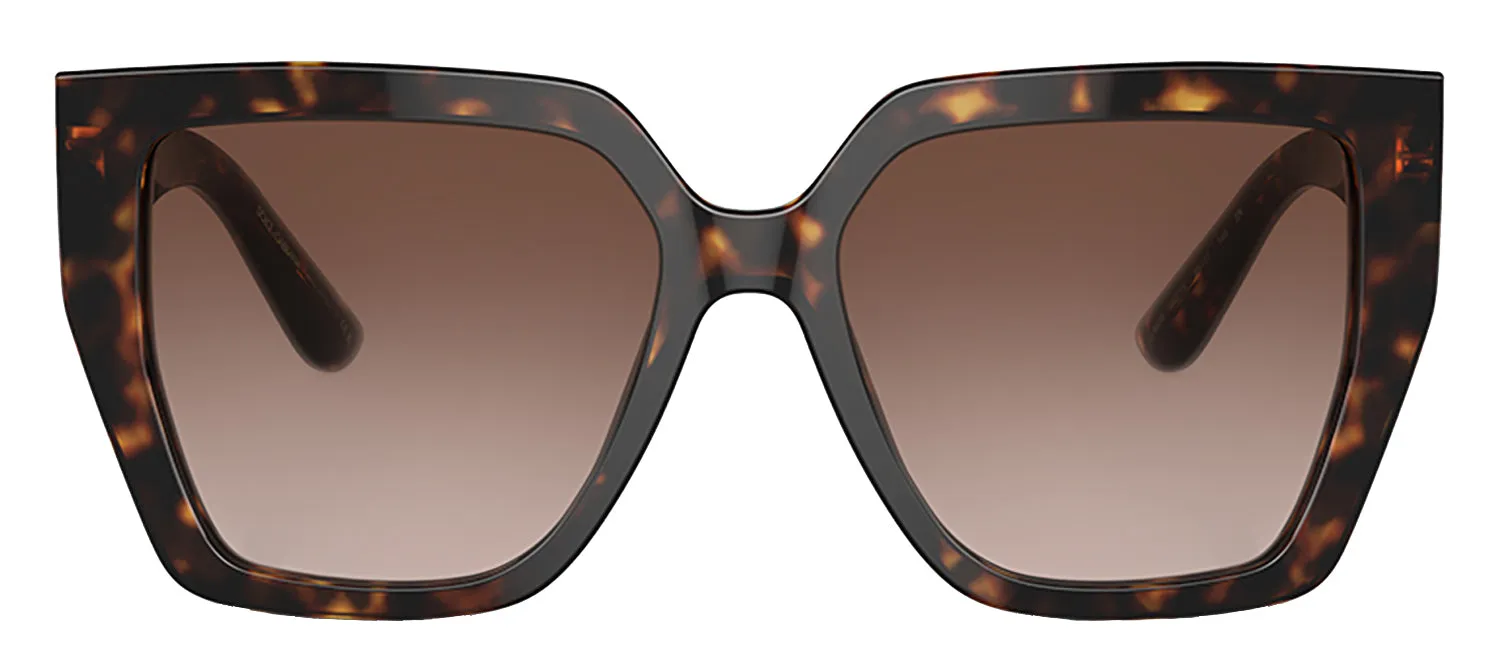 Dolce & Gabbana DG 4438 502/13 Butterfly Acetate Havana Sunglasses with Brown Gradient Lens sold by Gaffos
