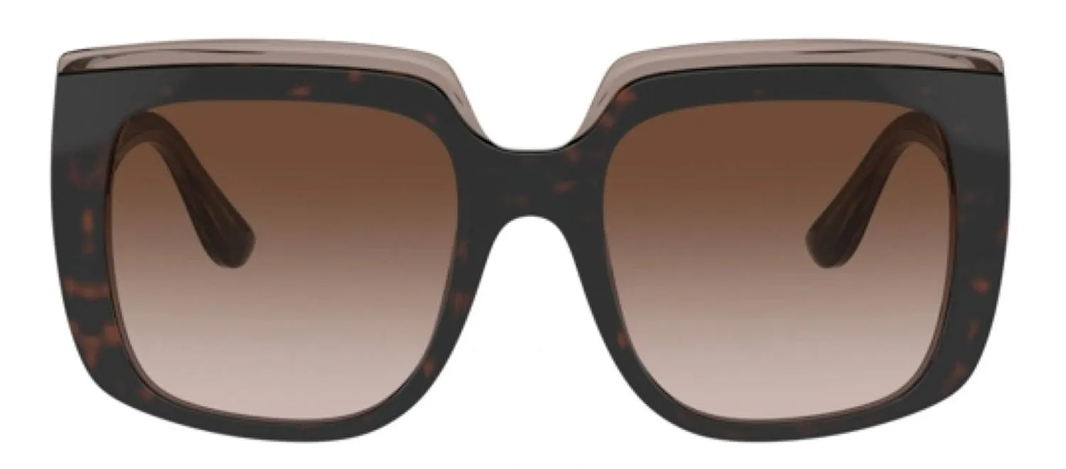 DOLCE & GABBANA DG 4414 502/13 Square Havana On Transparent Brown Acetate Sunglasses with Gradient Brown Lens sold by Gaffos