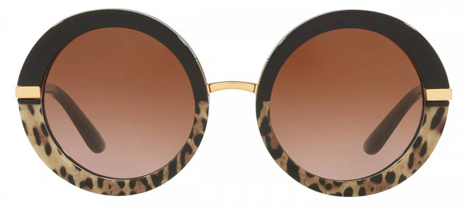 DOLCE & GABBANA DG 4393F 324413 Round Black/Leo Print Acetate Sunglasses with Brown Gradient Lens sold by Gaffos