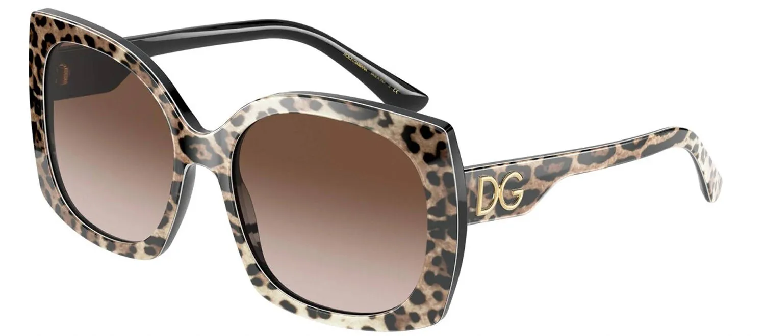 DOLCE & GABBANA DG 4385F 316313 Square Leo Brown On Black Acetate Sunglasses with Brown Gradient Dark Brown Lens sold by Gaffos product image thumbnail 2