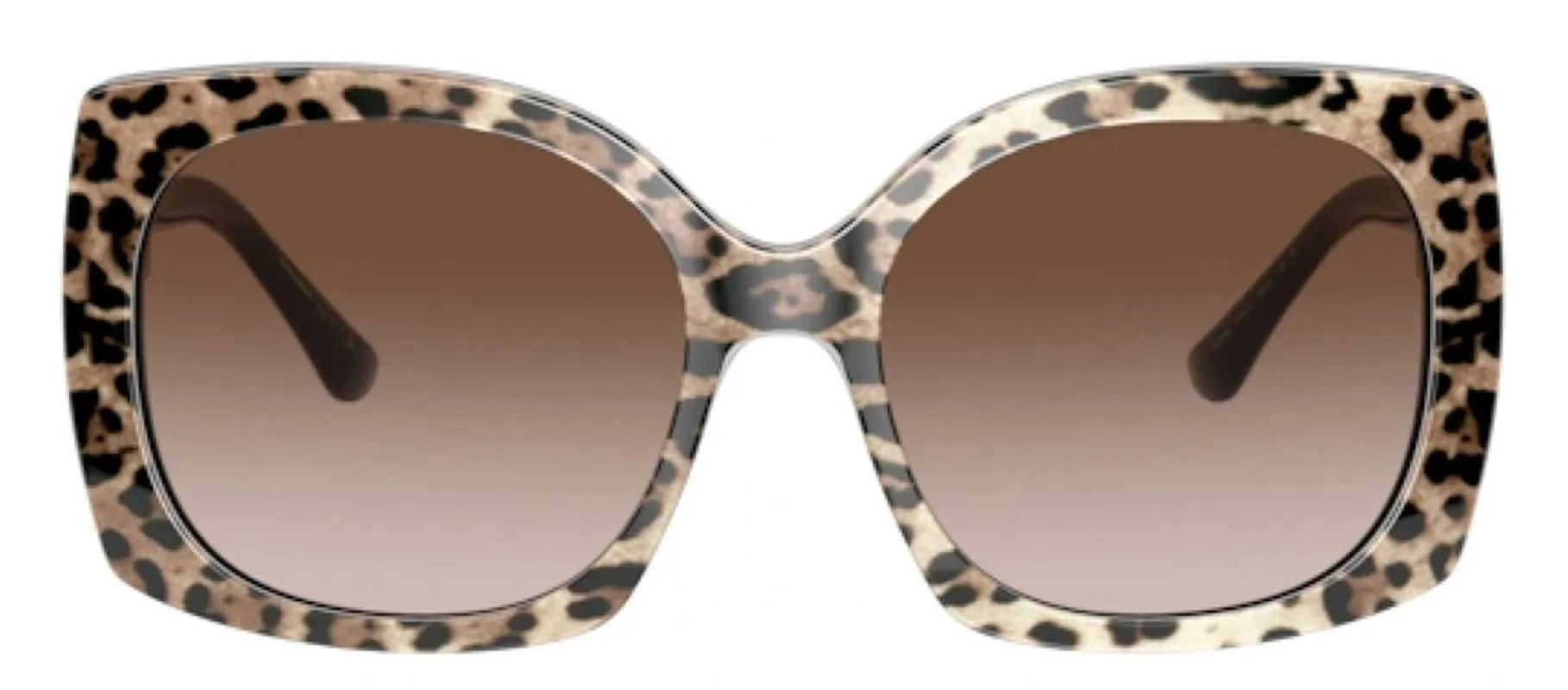 DOLCE & GABBANA DG 4385F 316313 Square Leo Brown On Black Acetate Sunglasses with Brown Gradient Dark Brown Lens sold by Gaffos