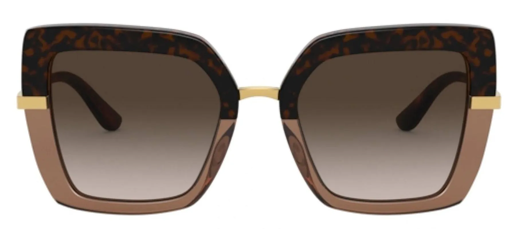 DOLCE & GABBANA DG 4373 325613 Square Havana On Transparent Brown Acetate Sunglasses with Brown Gradient Dark Brown Lens sold by Gaffos