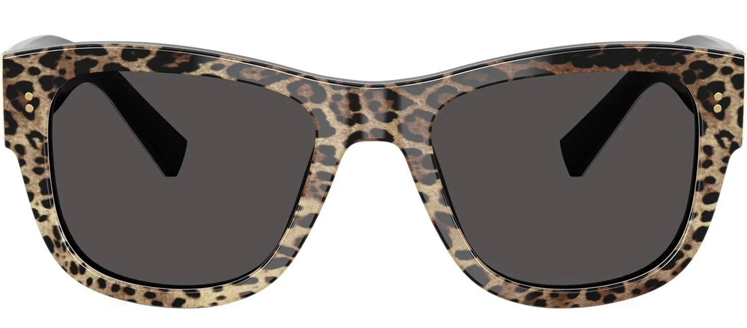 DOLCE & GABBANA DG 4338 316387 Square Top Leo On Black Acetate Sunglasses with Dark Grey Lens sold by Gaffos