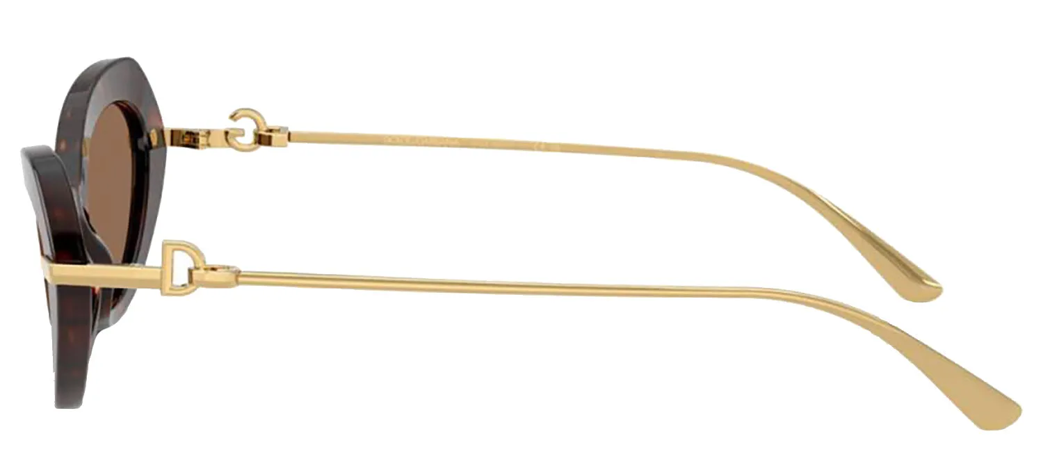 DOLCE & GABBANA DG 4473 502/73 Butterfly Havana Acetate Sunglasses with Dark Brown Lens sold by Gaffos product image thumbnail 3