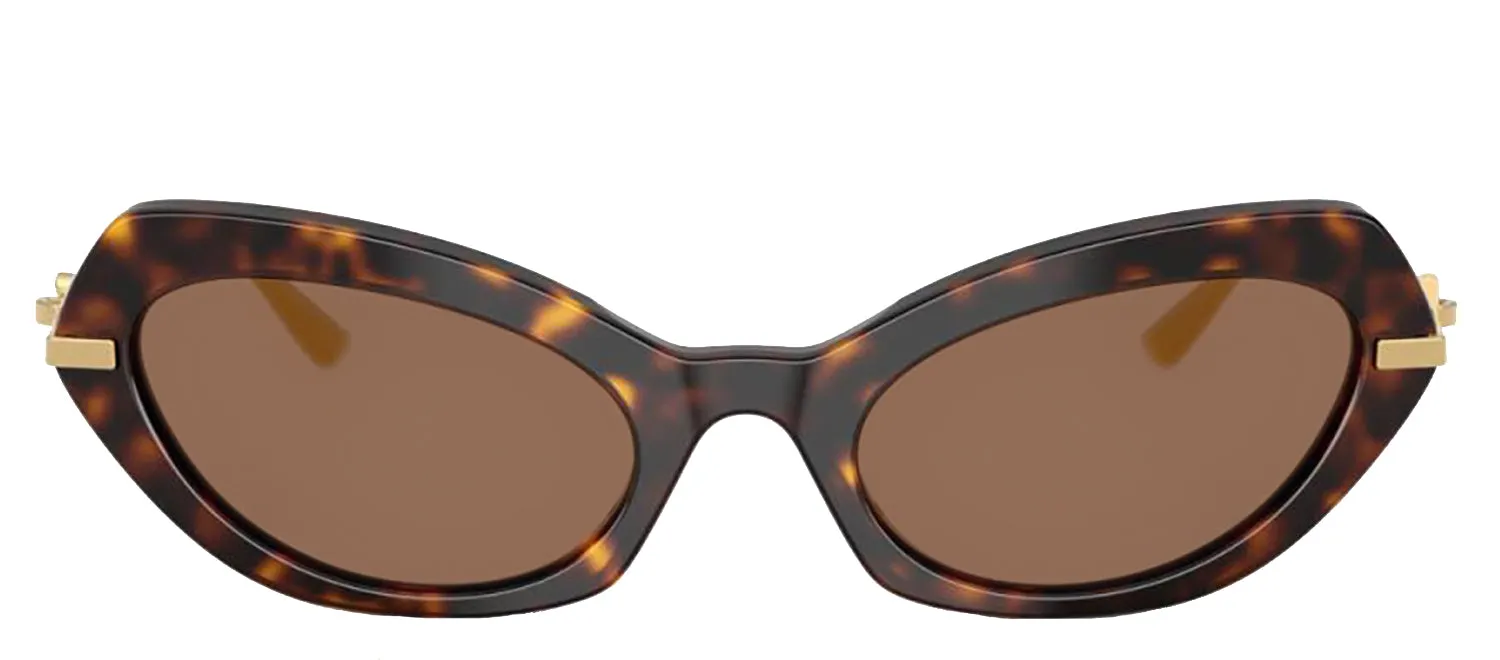 DOLCE & GABBANA DG 4473 502/73 Butterfly Havana Acetate Sunglasses with Dark Brown Lens sold by Gaffos