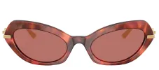 DOLCE & GABBANA DG 4473 344469 Butterfly Havana Brown Acetate Sunglasses with Dark Violet Lens sold by Gaffos