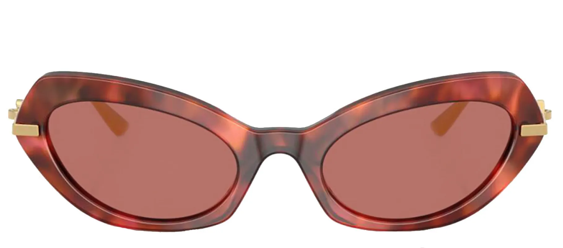 DOLCE & GABBANA DG 4473 344469 Butterfly Havana Brown Acetate Sunglasses with Dark Violet Lens sold by Gaffos