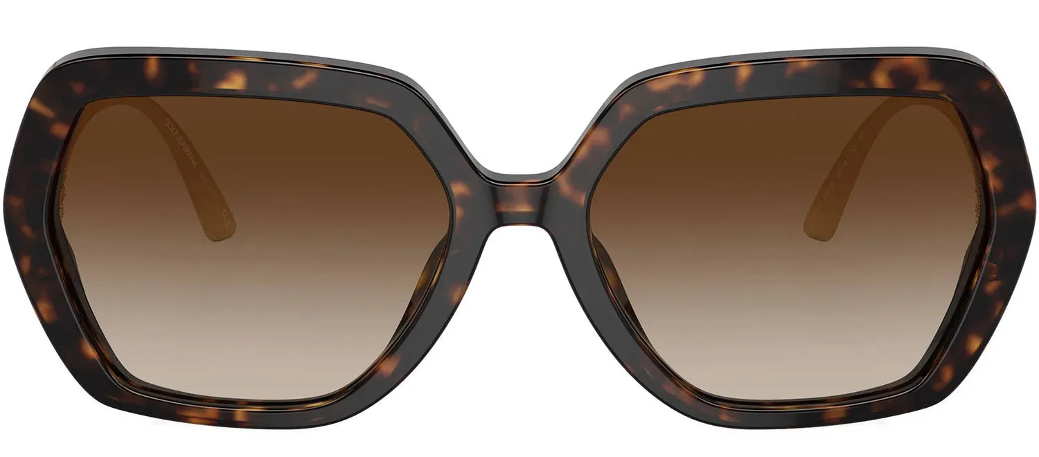 DOLCE & GABBANA DG 4468BF 502/13 Irregular Havana Acetate Sunglasses with Gradient Brown Lens sold by Gaffos