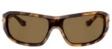 DOLCE & GABBANA DG 4486 343773 Rectangle Havana Honey Acetate Sunglasses with Dark Brown Lens sold by Gaffos