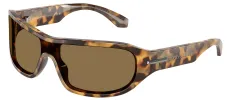 DOLCE & GABBANA DG 4486 343773 Rectangle Havana Honey Acetate Sunglasses with Dark Brown Lens sold by Gaffos
