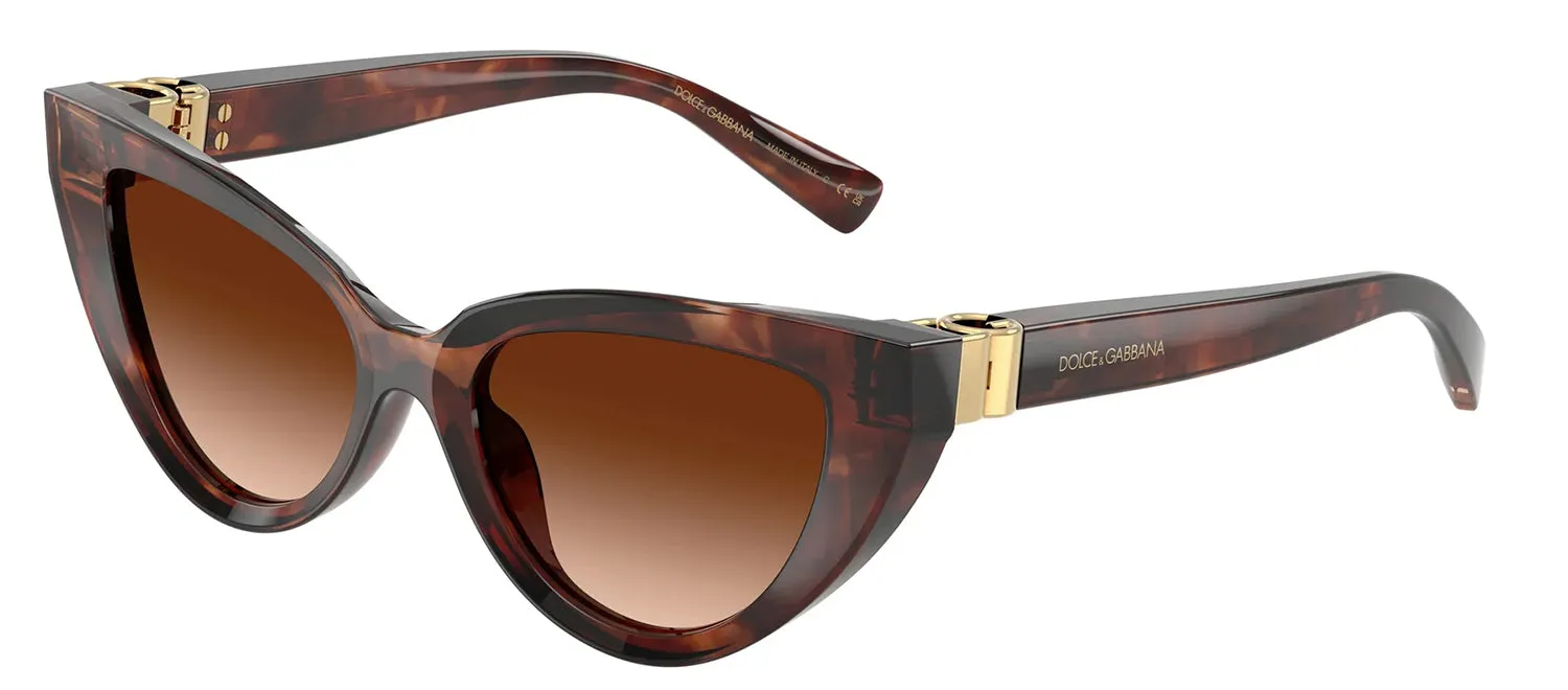 DOLCE & GABBANA DG 4497 322274 Cat Eye Dark Red Havana Acetate Sunglasses with Brown Gradient Lens sold by Gaffos product image thumbnail 2
