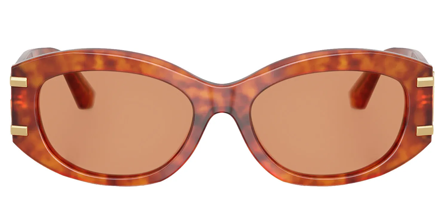 DOLCE & GABBANA DG 4502 3452/7 Oval Camel Havana Acetate Sunglasses with Orange Lens sold by Gaffos