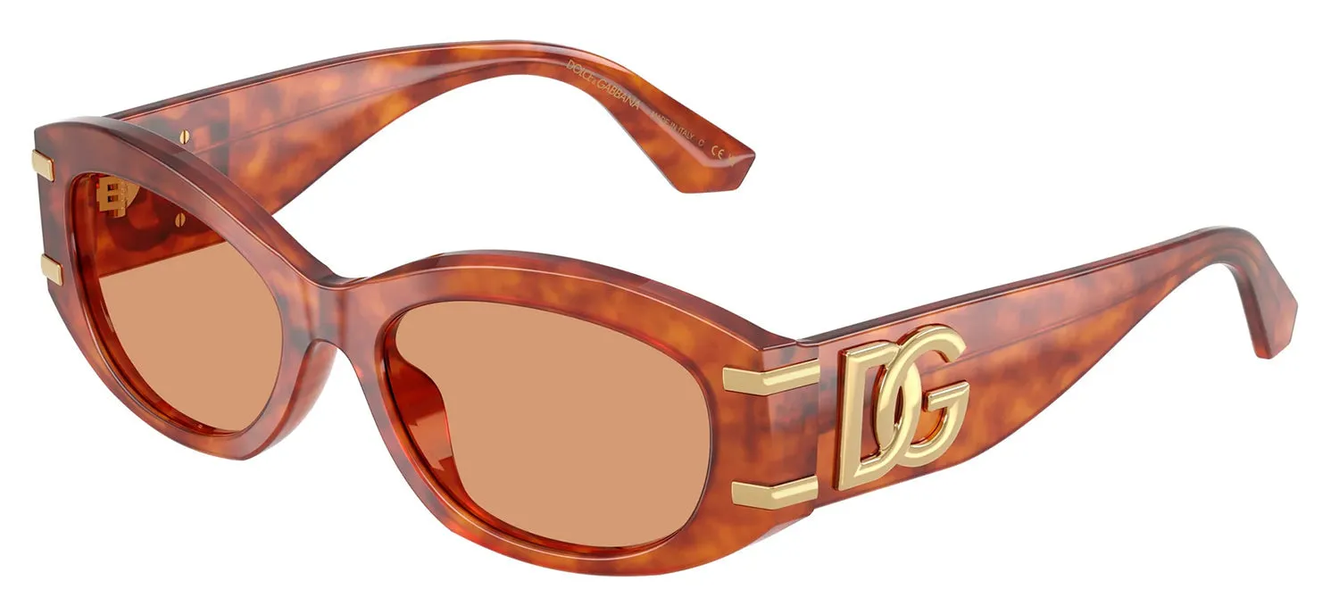 DOLCE & GABBANA DG 4502 3452/7 Oval Camel Havana Acetate Sunglasses with Orange Lens sold by Gaffos product image thumbnail 2