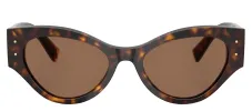 DOLCE & GABBANA DG 4480 502/73 Butterfly Havana Acetate Sunglasses with Dark Brown Lens sold by Gaffos