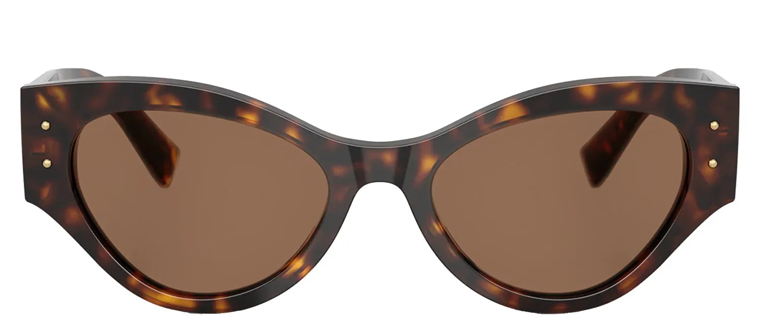 DOLCE & GABBANA DG 4480 502/73 Butterfly Havana Acetate Sunglasses with Dark Brown Lens sold by Gaffos