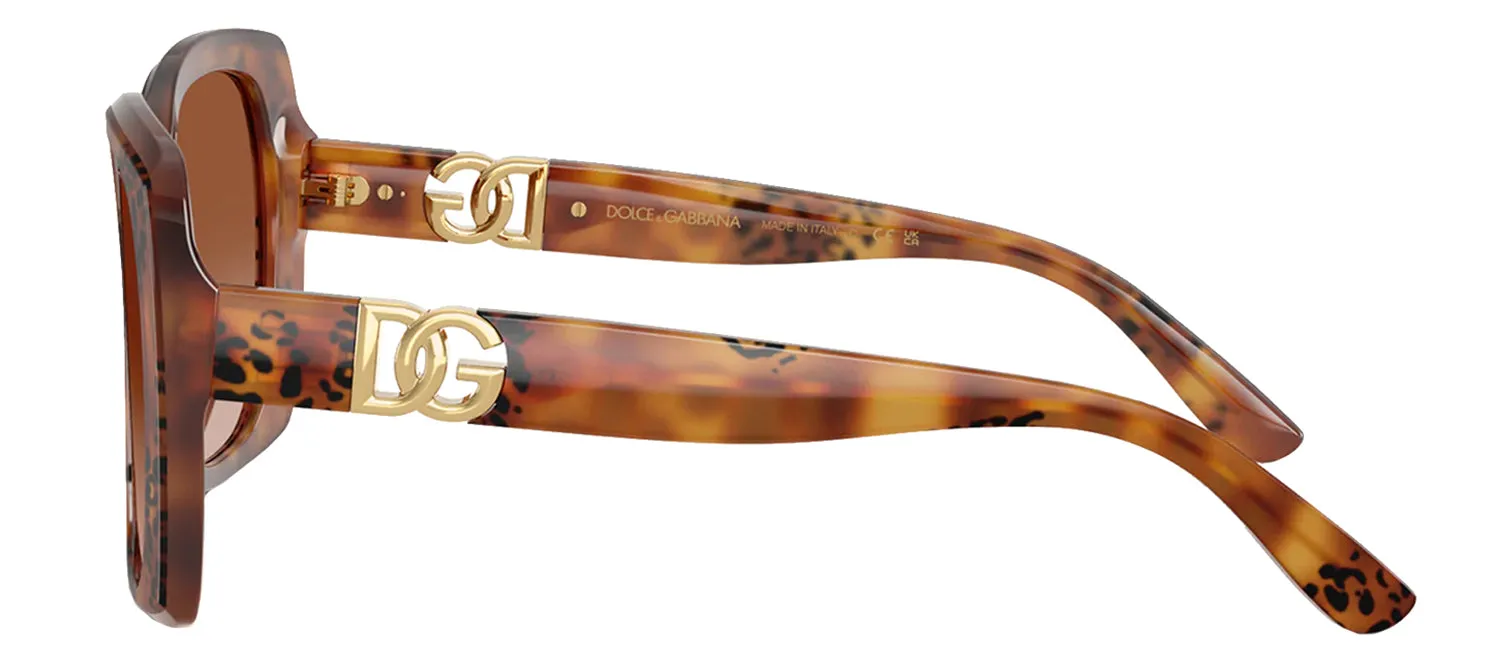 DOLCE & GABBANA DG 4475 338013 Square Havana Leo Acetate Sunglasses with Brown Gradient Lens sold by Gaffos product image thumbnail 3