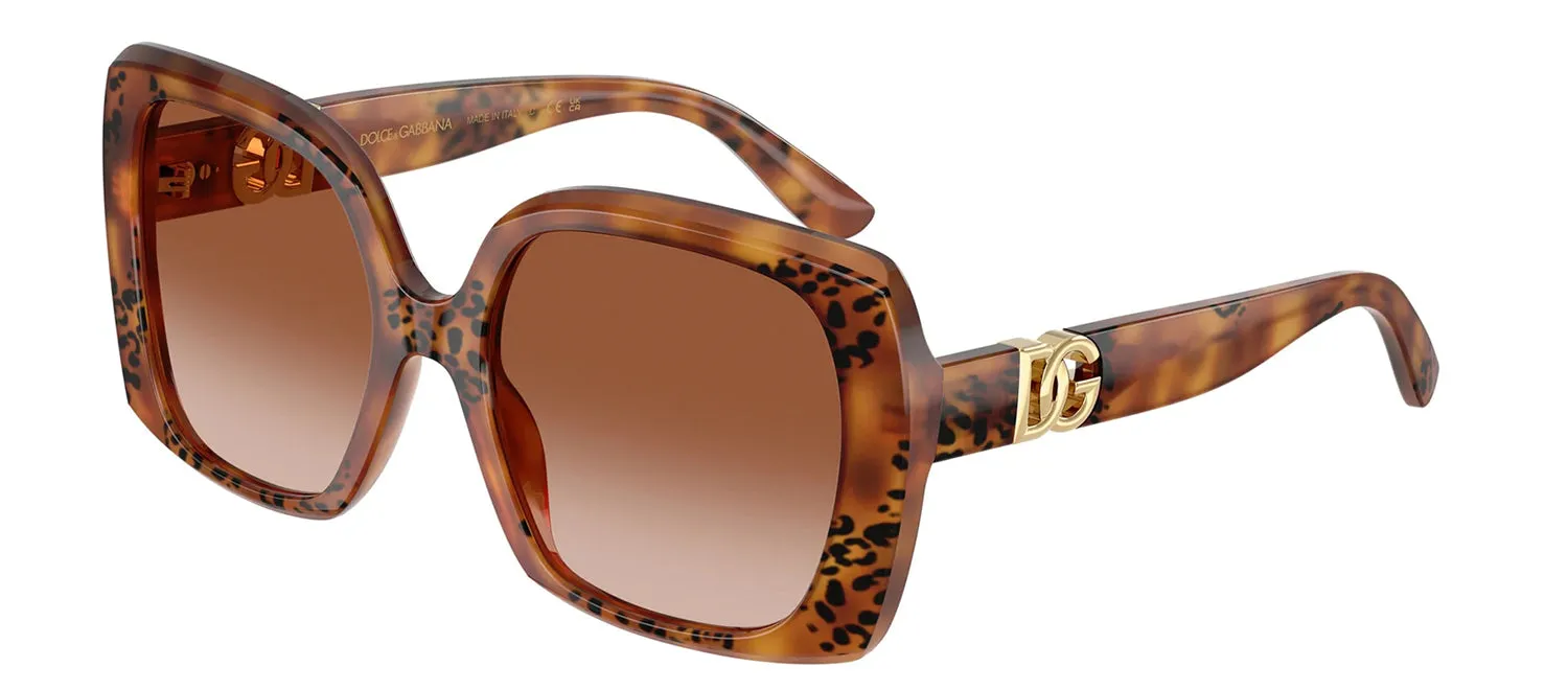 DOLCE & GABBANA DG 4475 338013 Square Havana Leo Acetate Sunglasses with Brown Gradient Lens sold by Gaffos product image thumbnail 2