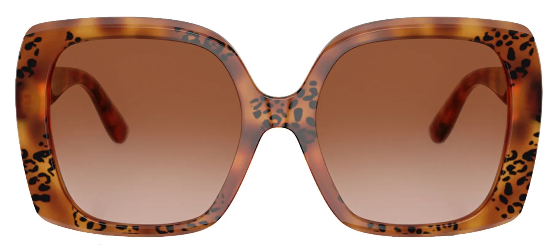 DOLCE & GABBANA DG 4475 338013 Square Havana Leo Acetate Sunglasses with Brown Gradient Lens sold by Gaffos