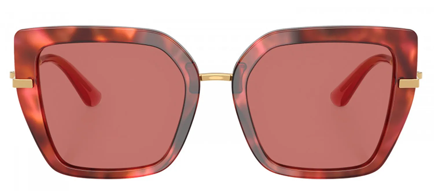DOLCE & GABBANA DG 4474F 344469 Butterfly Havana Brown Acetate Sunglasses with Dark Violet Lens sold by Gaffos