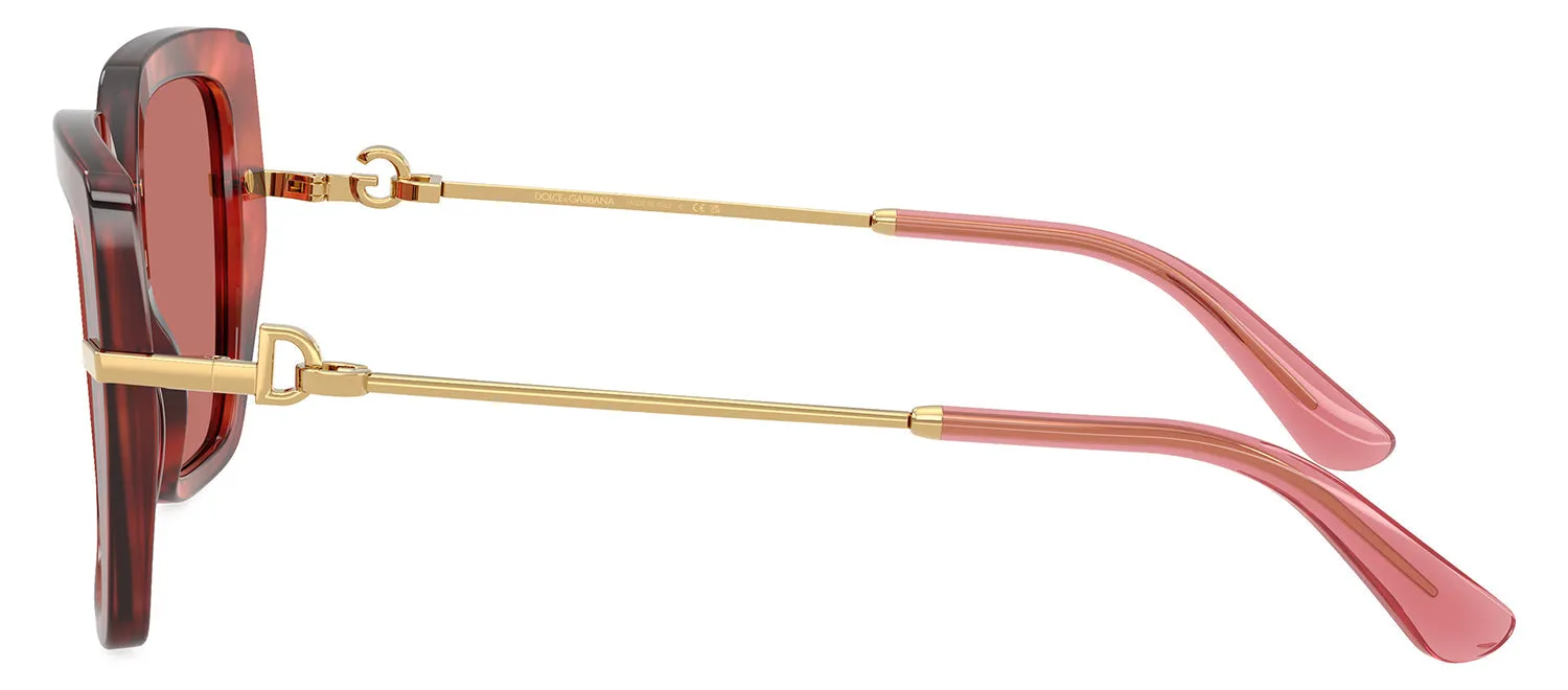 DOLCE & GABBANA DG 4474F 344469 Butterfly Havana Brown Acetate Sunglasses with Dark Violet Lens sold by Gaffos product image thumbnail 3