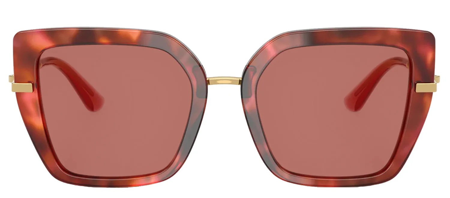 DOLCE & GABBANA DG 4474 344469 Butterfly Havana Brown Acetate Sunglasses with Dark Violet Lens sold by Gaffos