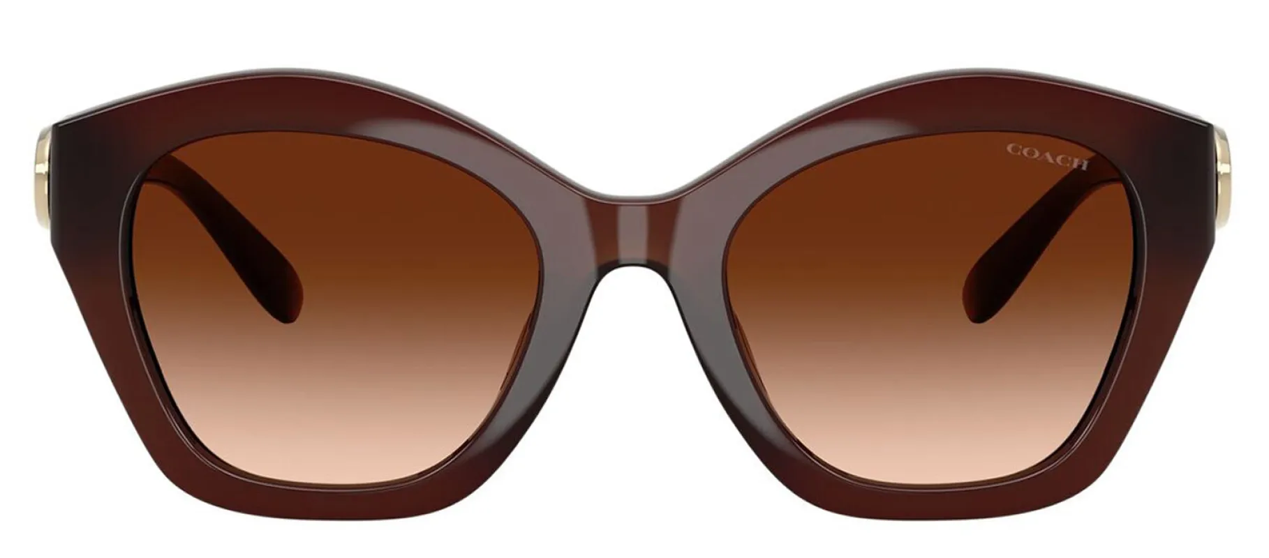 Coach HC 8421U 584174 Irregular Plastic Brown Sunglasses with Brown Gradient Lens sold by Gaffos