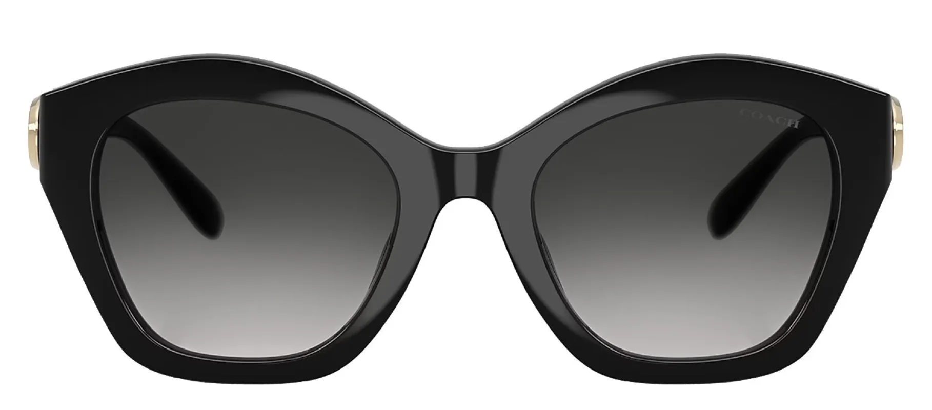 Coach HC 8421U 50023C Irregular Plastic Black Sunglasses with Grey Gradient Lens sold by Gaffos