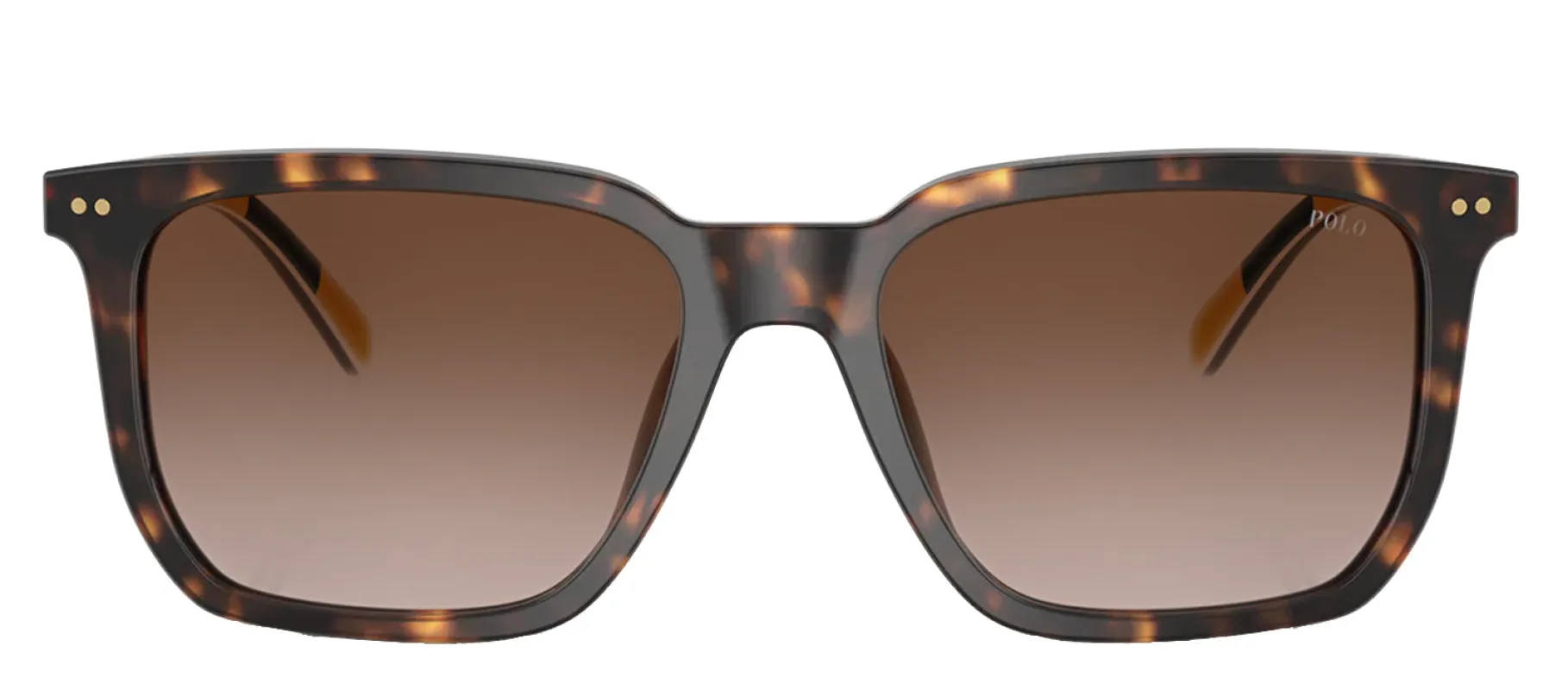 Polo Ralph Lauren PH 4224U 500313 Rectangle Plastic Havana Sunglasses with Brown Gradient Lens sold by Gaffos