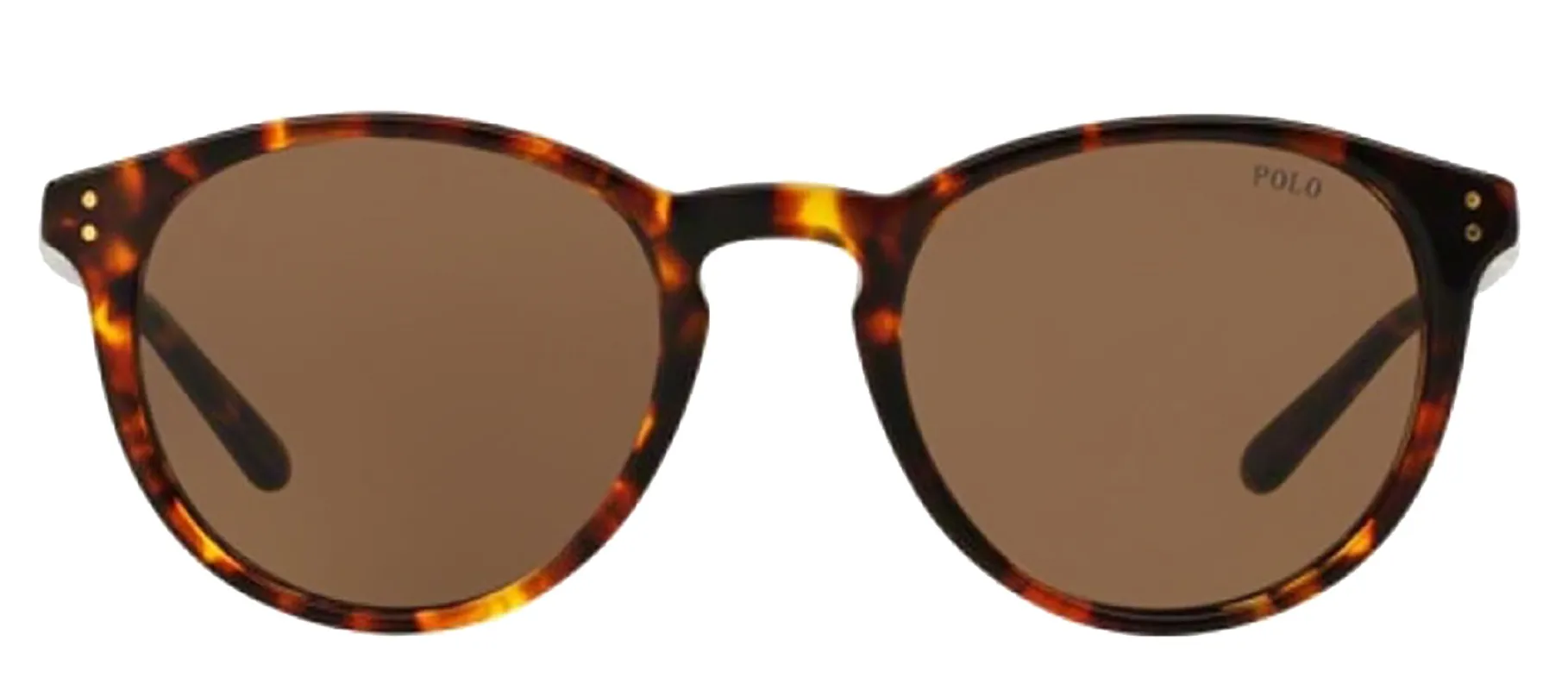 Polo Ralph Lauren PH 4110 513473 Phantos Plastic Havana Sunglasses with Brown Lens sold by Gaffos
