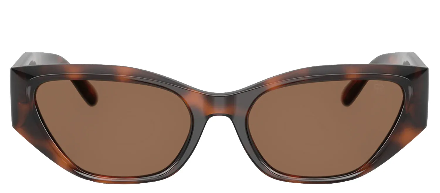 Ralph Lauren RL 8231U 624173 Square Plastic Brown Sunglasses with Brown Gradient Lens sold by Gaffos
