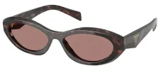 Prada PR 26ZS 17N60B Oval Plastic Tortoise Sunglasses with Brown Lens sold by Gaffos