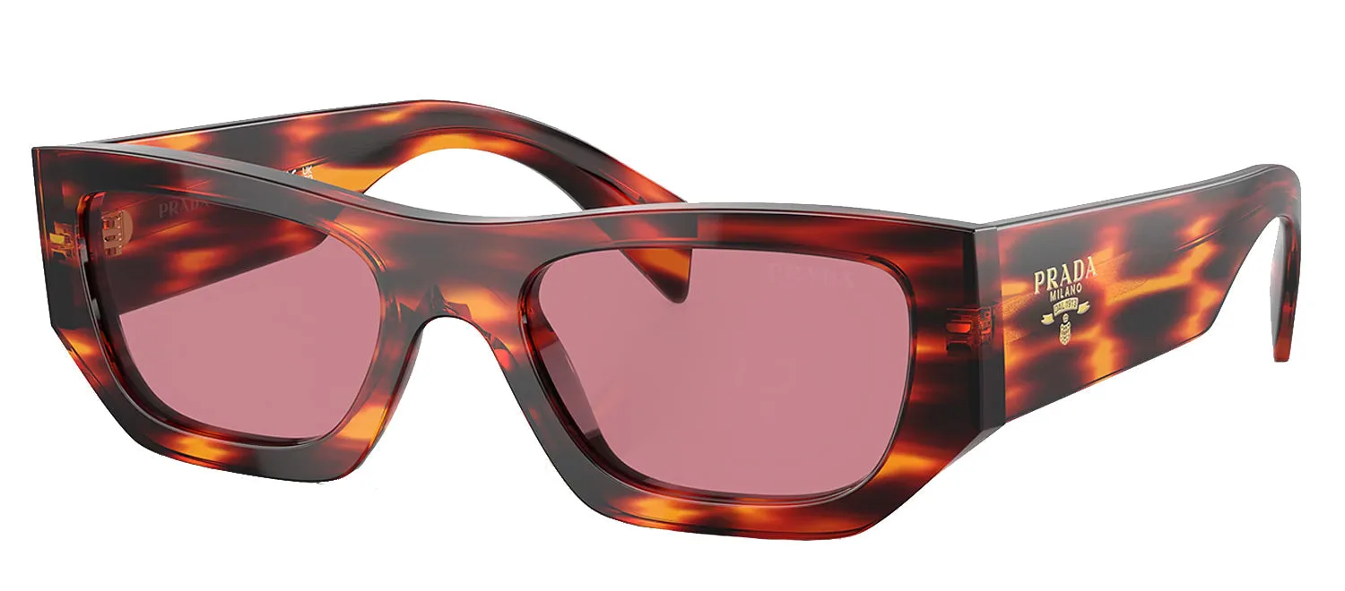 Prada PR A01S 13O80B Pillow Acetate Brown Sunglasses with Violet Lens sold by Gaffos product image thumbnail 2