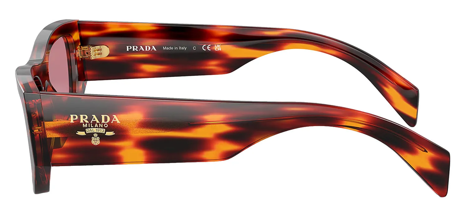 Prada PR A01S 13O80B Pillow Acetate Brown Sunglasses with Violet Lens sold by Gaffos product image thumbnail 3