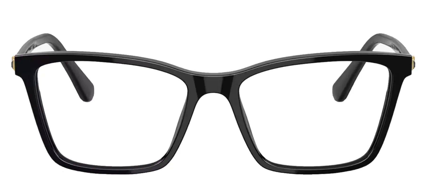 Swarovski SK 2015 1001 Rectangle Plastic Black Eyeglasses with Logo Stamped Demo Lenses sold by Gaffos