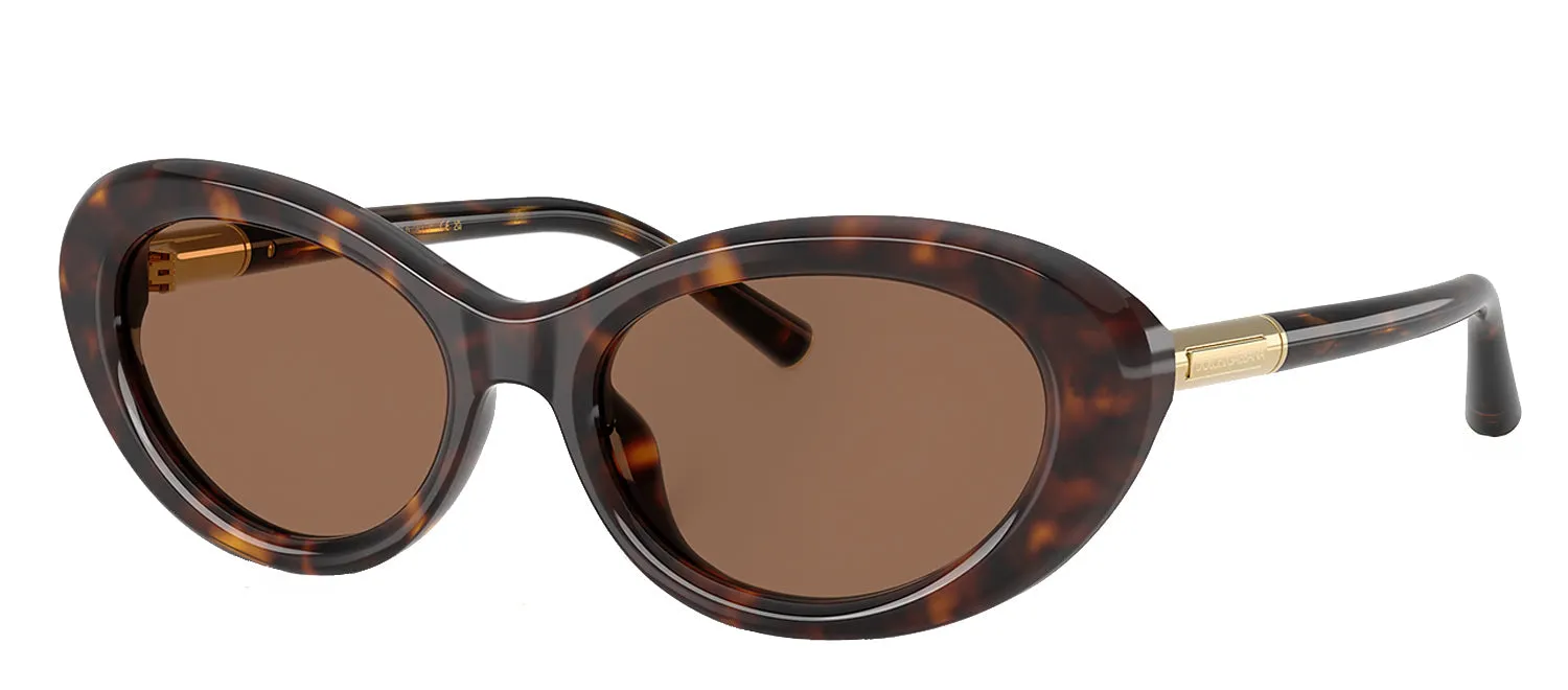 Dolce & Gabbana DG 4519 502/73 Oval Plastic Havana Sunglasses with Brown Lens sold by Gaffos product image thumbnail 2