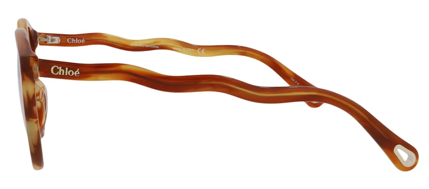 Chloé CH 0089S 30013114 001 Cat-Eye Plastic Havana Sunglasses with Transparent Lens sold by Gaffos product image thumbnail 2