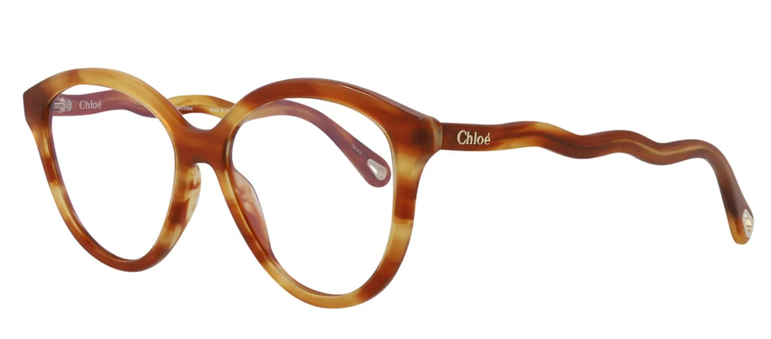 Chloé CH 0089S 30013114 001 Cat-Eye Plastic Havana Sunglasses with Transparent Lens sold by Gaffos product image thumbnail 3