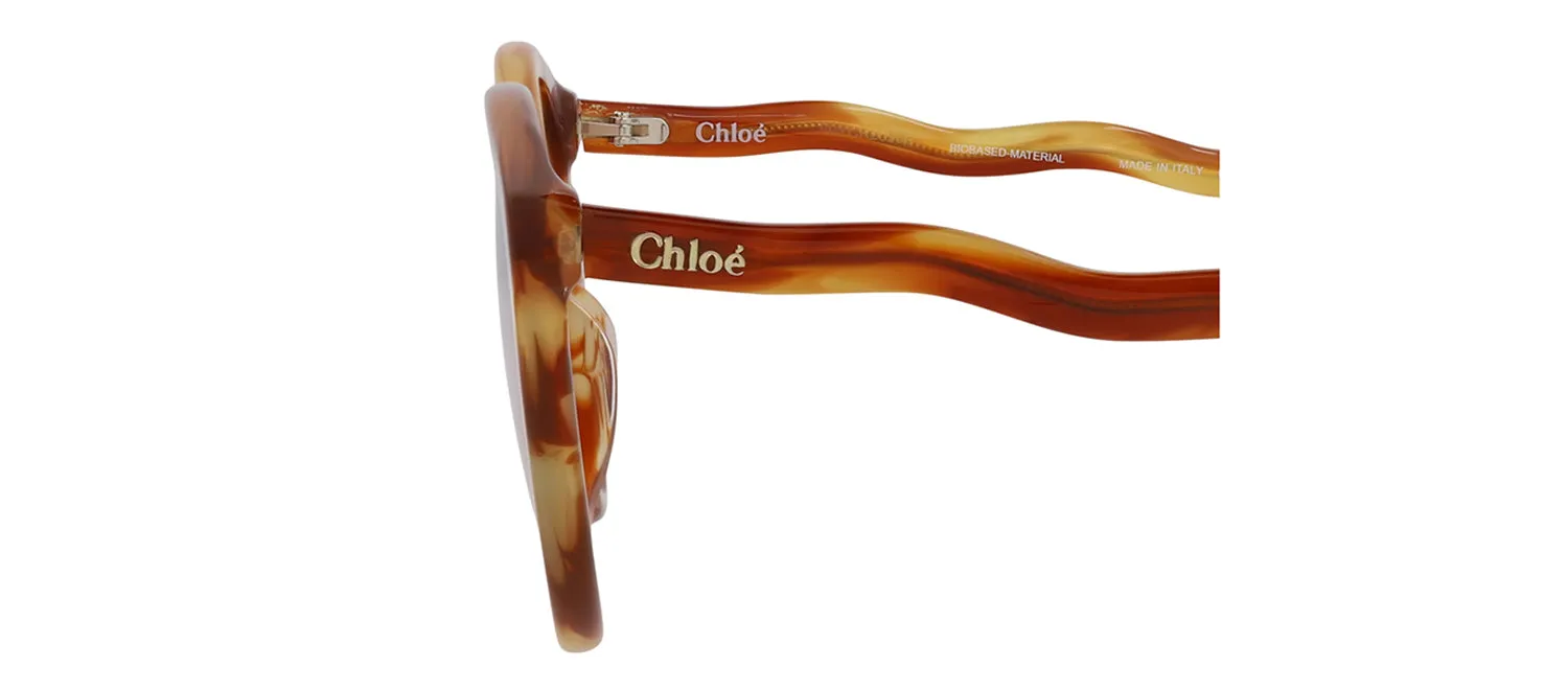 Chloé CH 0089S 30013114 001 Cat-Eye Plastic Havana Sunglasses with Transparent Lens sold by Gaffos product image thumbnail 4