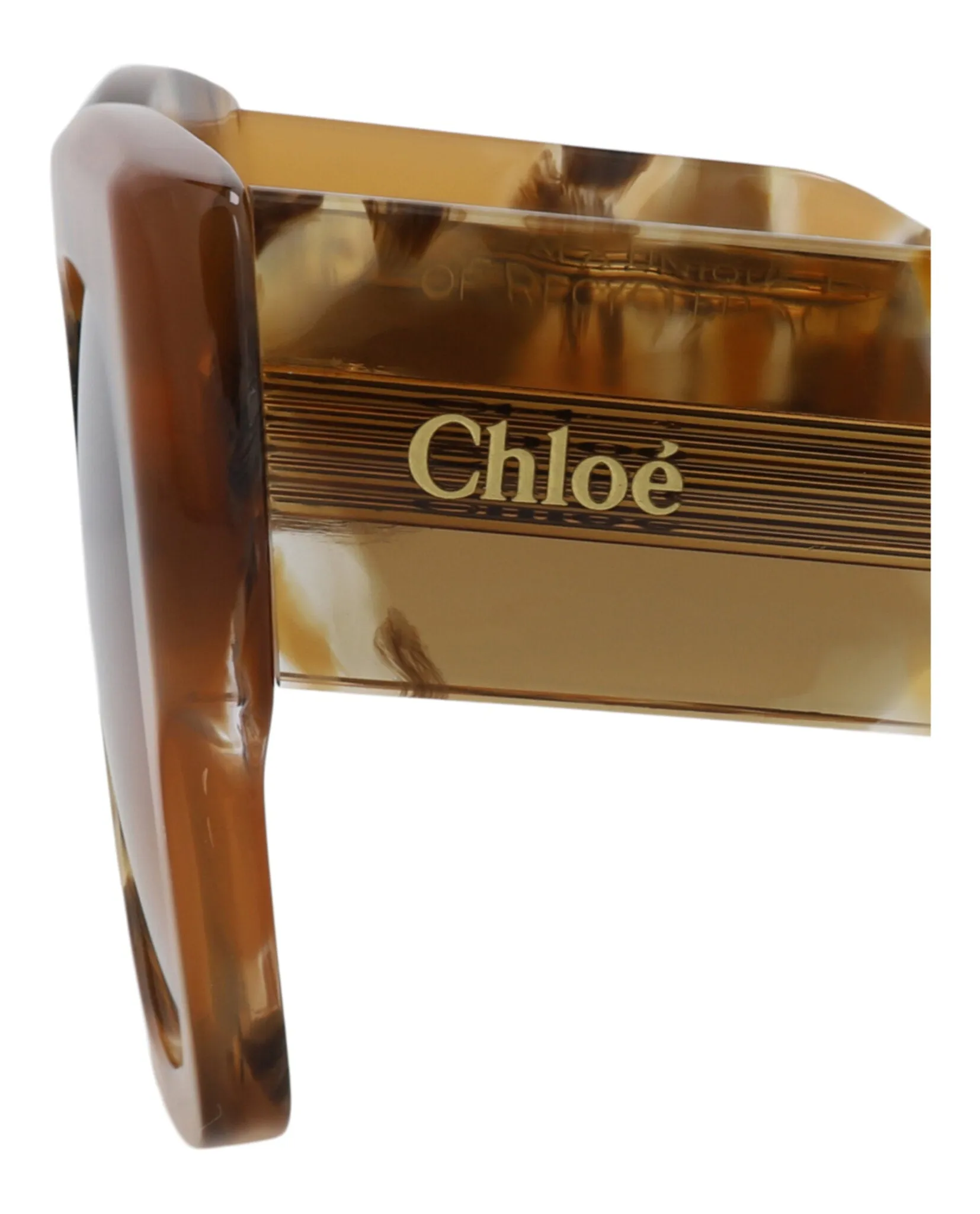 Chloé CH 0252S 30015701 008 Square Plastic Havana Sunglasses with Brown Lens sold by Gaffos product image thumbnail 4