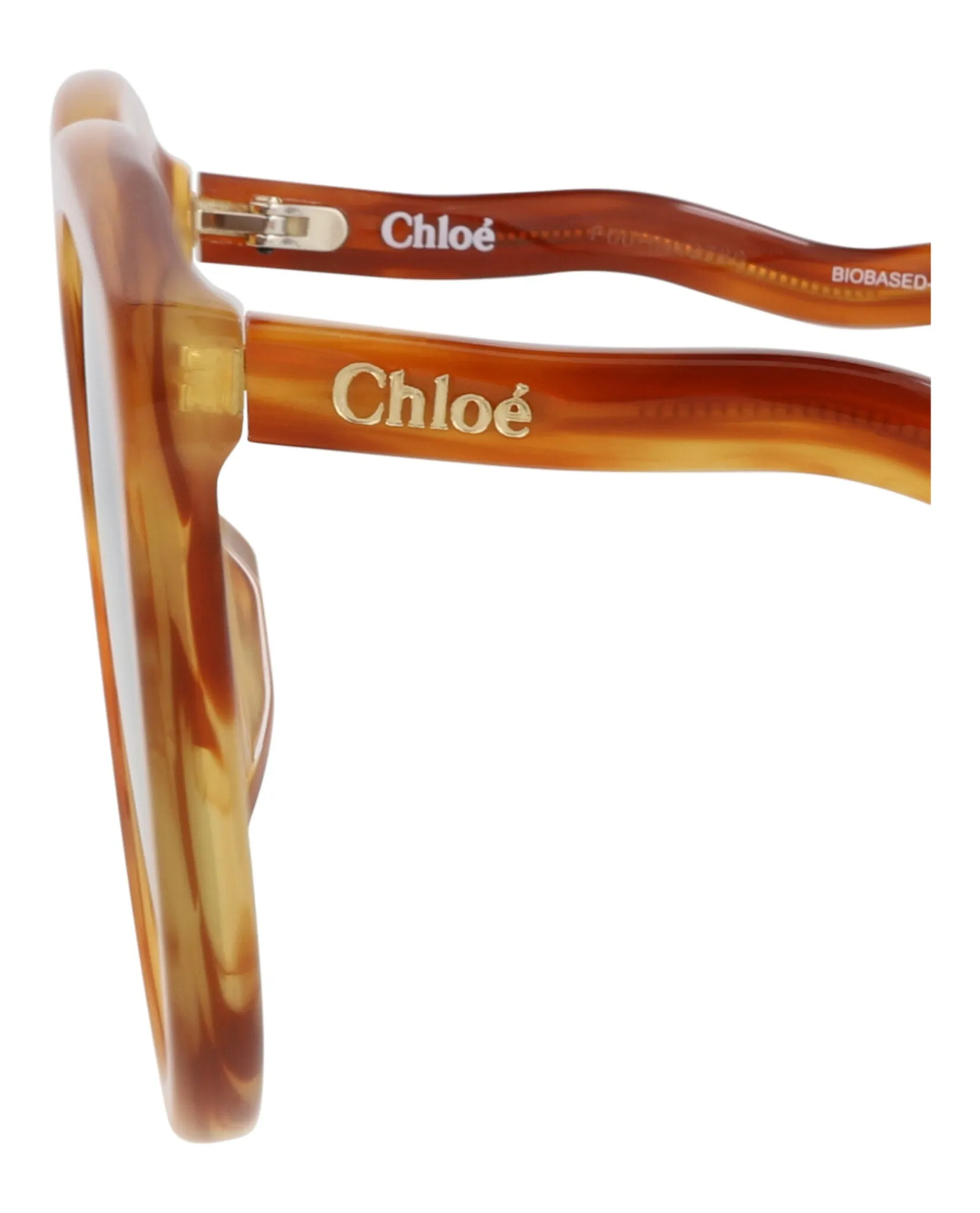 Chloé CH 0087S 30012393 002 Round Plastic Havana Sunglasses with Brown Lens sold by Gaffos product image thumbnail 4