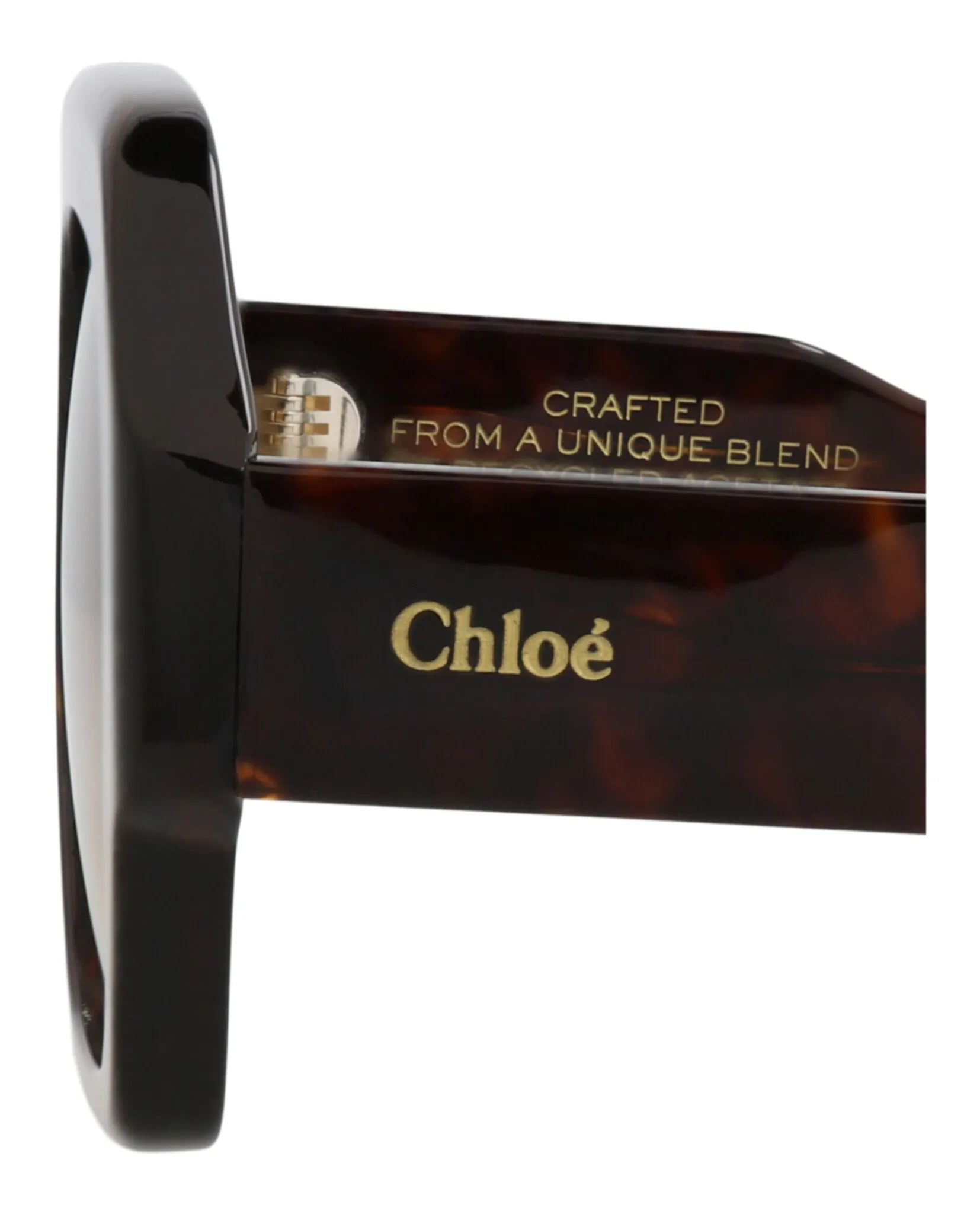 Chloé CH 0154S 30014079 002 Square Plastic Havana Sunglasses with Brown Lens sold by Gaffos product image thumbnail 3