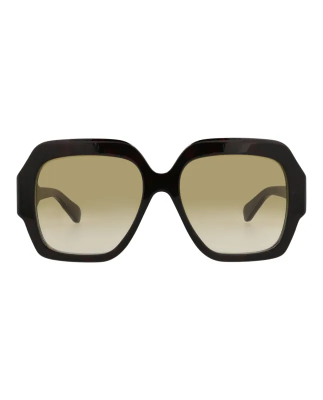 Chloé CH 0154S 30014079 002 Square Plastic Havana Sunglasses with Brown Lens sold by Gaffos