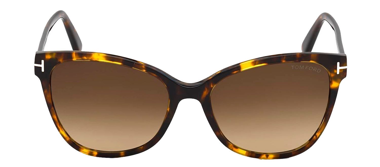Tom Ford FT 844-F 52H Square Plastic Havana Sunglasses with Brown Polarized Lens sold by Gaffos