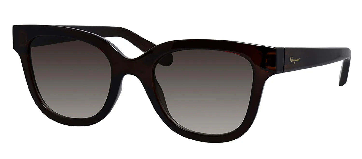 Salvatore Ferragamo SF 1066S 210 Rectangle Plastic Crystal Brown Sunglasses with Grey Lens sold by Gaffos product image thumbnail 2