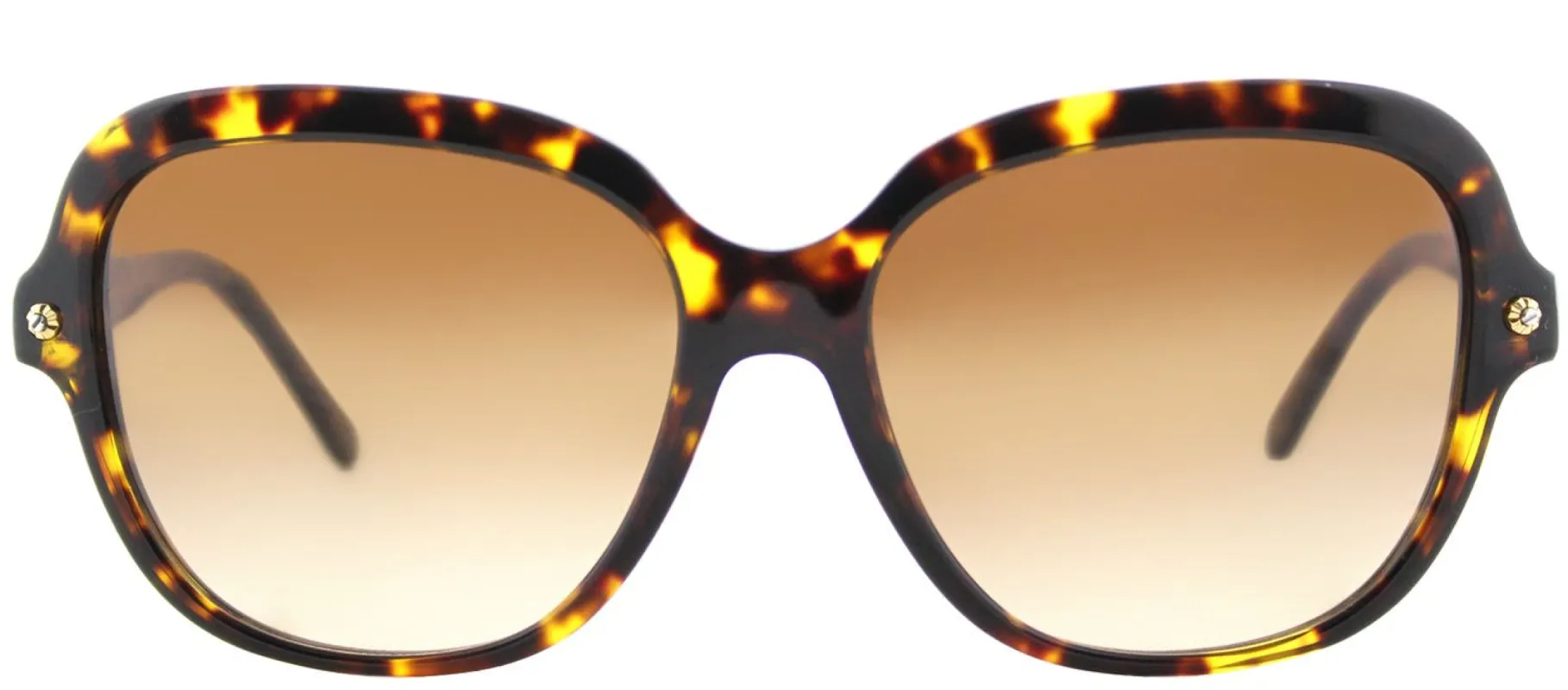 Coach HC 8192 539413 Square Plastic Tortoise/ Havana Sunglasses with Brown Gradient Lens sold by Gaffos