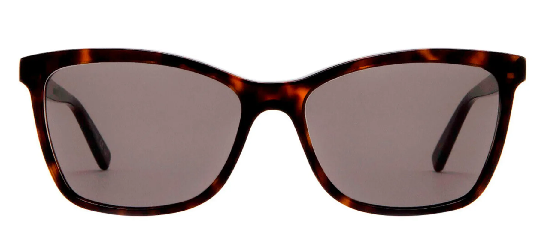 Saint Laurent SL 502S 2 Cat-Eye Plastic Havana Sunglasses with Smoke Lens sold by Gaffos