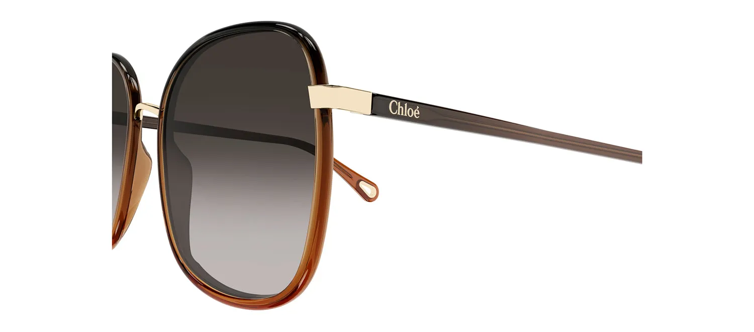 Chloe CH 0031S 005 Square Plastic Black Sunglasses with Grey Gradient Lens sold by Gaffos product image thumbnail 3